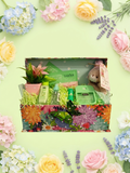 Summer Bloom Mint & Moss pamper gift box