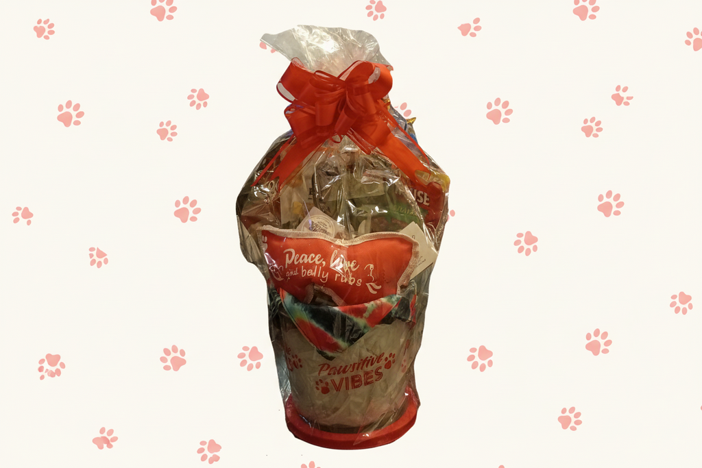 Paws & Play Groom & Treat Bucket – All‑Age Dog Delight