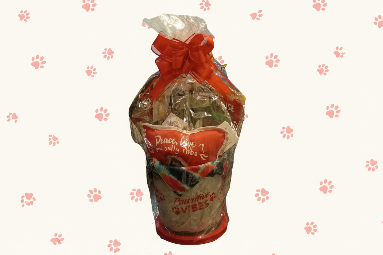 Paws & Play Groom & Treat Bucket – All‑Age Dog Delight